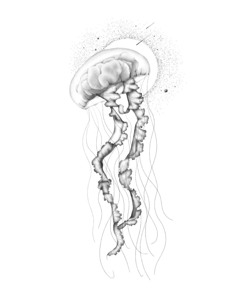 Dessin de l'artiste Lilo